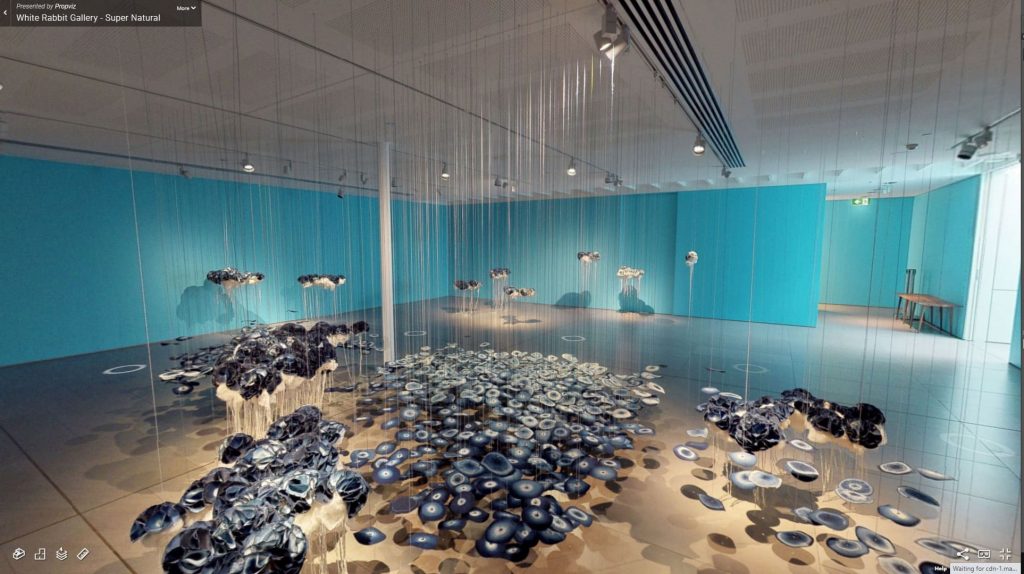 Property virtual tours